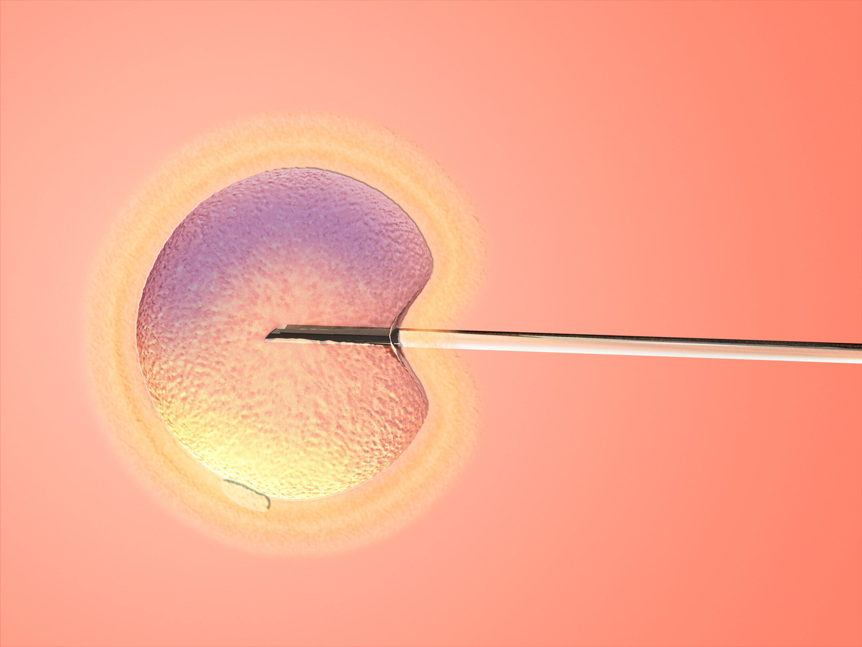 Shady Grove Fertility Publishes Latest IVF Success Rates with Nearly
